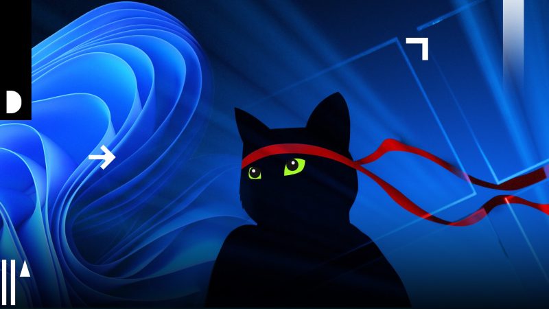 微软这次听劝了！Insider 计划四大痛点全修复 -1