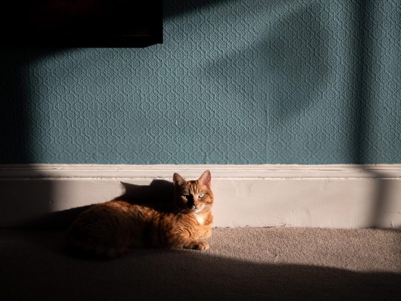 外媒实测小米15 Ultra手机：相机“反向升级”，有点绷不住了 -1